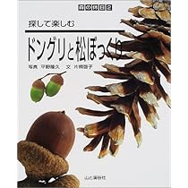 松ぼっくりの想い まつぼっくり｜福音館書店