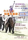 わたしの競馬写真術ノートver1.2
