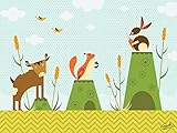 Oopsy Daisy、Fineアートfor Kids Cattails and Crittersストレッチキャンバスアートby Carmen Mok、24 by 18インチ