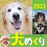 Dogs Calendar 犬めくり: 毎日が犬びより ([カレンダー])