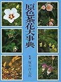 原色茶花大事典
