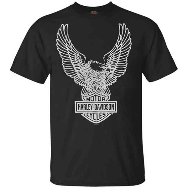y2k❤️ Harley-Davidson ナックルヘッド ロゴ ロンT ライジングイーグルロングスリーブTシャツ -ハーレー