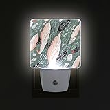 Alaza LED Night Light withスマートDusk to Dawnセンサー、ティッシュと羽Birdsプラグin Night Light Great Forベッドルームバスルーム、廊下