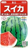 サカタのタネ 実咲野菜0600 スイカ 金山 00920600 10袋セット