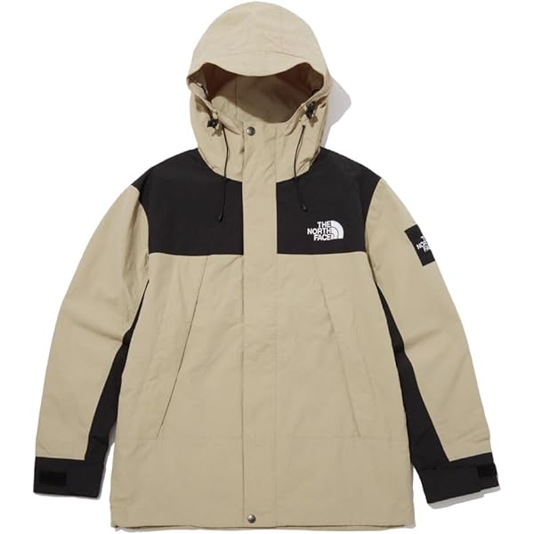 Amazon | (ザ・ノースフェイス) THE NORTH FACE ECO GTX