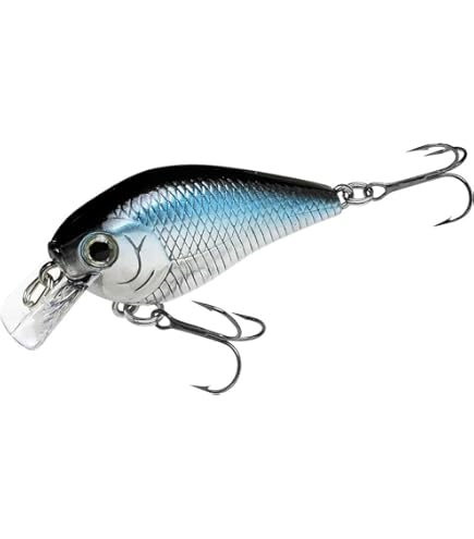 Amazon.co.jp: Flat Shad Baits/フラットシャッドベイツ