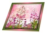 スーザンブラウンデザイン花テーマ – Grunge Wildflowers – タイル 6-Inch-Ceramic ct_36568_2