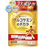 悩み解決ラボ グルコサミンのチカラ プロテオグリカン 非変性II型コラーゲン配合 膝・関節サプリ 30日分 60粒