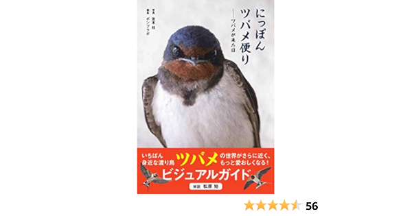 にっぽんツバメ便り ポンプラボ 宮本桂 本 通販 Amazon