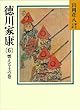 徳川家康（6）　燃える土の巻 (山岡荘八歴史文庫)