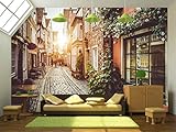 wall26 粘着式壁紙 大型の壁 壁画シリーズ 100"x144" WMR-WP-X-C614-100x24x6
