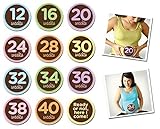 Maternity Stickers for Weekly Baby Bump Photos - Oh Sew Ready - Sticky Bellies by Sticky Bellies [並行