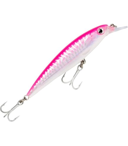 Amazon.co.jp: Rapala(ラパラ) ミノー ソルトウォーター Xラップ 12cm
