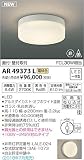 KOIZUMI(コイズミ照明) LED階段通路誘導灯 非常灯 FCL30W相当 電球色 AR49373L