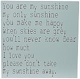 Chick Lingo 3693SBB You are My Sunshine Decorative Sign [並行輸入品]