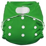 Imagine Baby Products Rayon From Bamboo All-In-One Hook and Loop Diaper, Emerald by Imagine Baby Pro