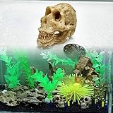 アクアリウム オブジェ スカル 水槽装飾 テラリウム オーナメント 熱帯魚【並行輸入品】