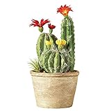 Faux Flowering Cactus in Pot レッド 39949 RED