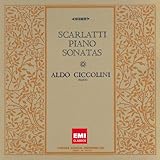 D.�X�J�����b�e�B:�s�A�m�E�\�i�^�W