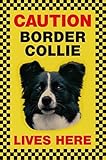 CAUTION BORDER COLLIE LIVES HERE サインボート：ボーダーコリー 写真 画像 英語 看板 Made in U.K [並行輸入品]