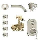 Moen KSPVE-SB-273BN Vestige Vertical Spa Kit with Shower, Head, Arm, and Flange, Brushed Nickel [並行輸