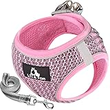 Lil&Fam 犬 ハーネス 胴輪 リードセット 身体に優しい 反射材付き メッシュ 小型犬 中型犬 猫 (ピンク, Sサイズ)