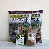 オリーブの栽培用品セット（培養土・肥料・マルチング材） ノーブランド品