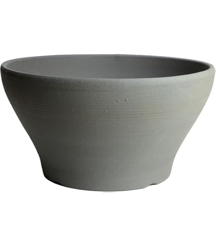 Amazon.co.jp: 萩焼 椿秀窯 大賀和幸 自宅保管品 大鉢 直径約20