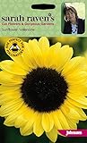 【輸入種子】 Johnsons Seeds Sarah Raven's Sunflower Valentine サラ・レイブンス・サンフラワー・ヴァレンタイン（CF） ジョンソンズシード