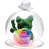 TEATSIGHT プリザーブドフラワー アニマルモス ガラスポット入り フラワーアレンジ ラッピング済み （ 猫 レインボーローズ ）
