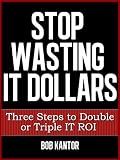 Stop Wasting IT Dollars - Three Steps to Double or Triple IT ROI (English Edition)