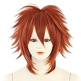 airily(エアリー) ライオンベース アカガネ |コスプレ ウィッグ ショート 耐熱 フリーサイズ 加工
