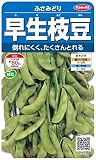サカタのタネ 実咲野菜7378 早生枝豆 ふさみどり 00927378 10袋セット