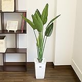 ストレリチア プラ鉢 フェイクグリーン 人工観葉植物 高さ120cm ストレリチア プラ鉢 フェイクグリーン 人工観葉植物 高さ120cm