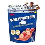 エムピーエヌ(MPN) WHEY PROTEIN NEO (ホエイプロテイン・ネオ) ミルクティー風味 1kg wpi ビタミン11種入り 日本国内製造
