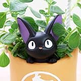 (観葉)おまかせハイドロ苗とジブリプランターカバー ～ジジのお届け便～ 水位計付き(1セット) 本州・四国限定[生体]