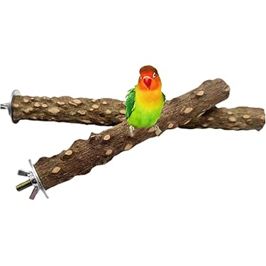 maona　鳥用品　止まり木　カクタス　スケルトン　パーチ　2本おまとめ maona 鳥用品 止まり木 カクタス スケルトン パーチ 2本おまとめ