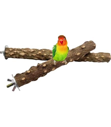 ㊲㊷2点　大型門型止まり木　自然木鳥卓上パーチ　餌皿　オウム　インコ　フクロウ Amazon.co.jp: ?大型鳥スタンド 門型止まり木 卓上パーチ 餌皿 自然木