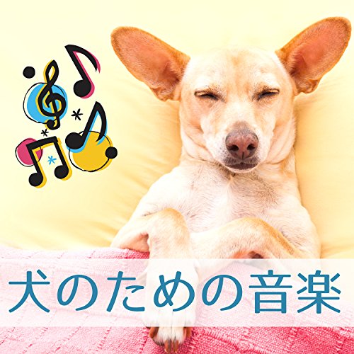犬のための音楽 - リラックス、抗ストレス、自然の音、睡眠、静けさ、ピアノ, 調和