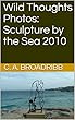 Wild Thoughts Photos: Sculpture by the Sea 2010 (English Edition)