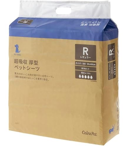 Amazon.co.jp: クリーンワン 消臭炭シート ダブルストップ レギュラー