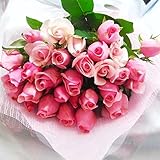 タイムセール・母の日、誕生日、記念日、お祝いに大輪ピンク国産バラキャンディアバランチェ、リメンブランス、タイタニックなど２０本の薔薇の花束