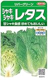 サカタのタネ 実咲野菜3573 リバーグリーン シャキシャキレタス 10袋セット
