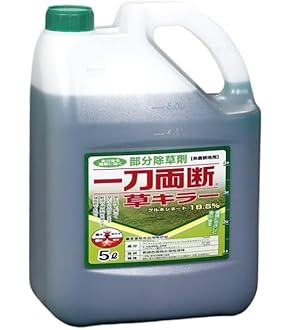 ハーちゃん農園♡さん専用 ランキングスケール 分太II 音声式重量選別機 6kg TB-6ll 農家