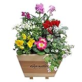 ハンドメイドのウッドポット　季節の寄せ植え　杉（ナチュラル四角）　厚さ10mmの杉板の丈夫なウッドポット　脚付き（ハンドメイドのため数量限定）