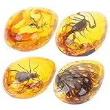 [VILLFUL] 4個セット 樹脂アンバー昆虫標本 2.36×1.77×0.98インチ Diyクラフト用 インテリア装飾 昆虫採集 樹脂工芸アクセサリー
