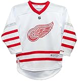 Detroit Red Wings 2017 Centennial子4 – 7 Jersey