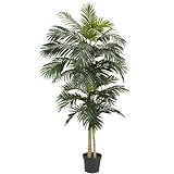 Nearly Natural 5326 Golden Cane Palm Silk Tree, 8-Feet, Green by Nearly Natural