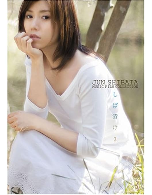 Amazon.co.jp: JUN SHIBATA MUSIC FILM COLLECTION しば漬け [DVD