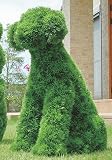 ガーデニング トピアリー 289A400光の楽園 イヌ 約 幅38×奥行50×高さ68cm
